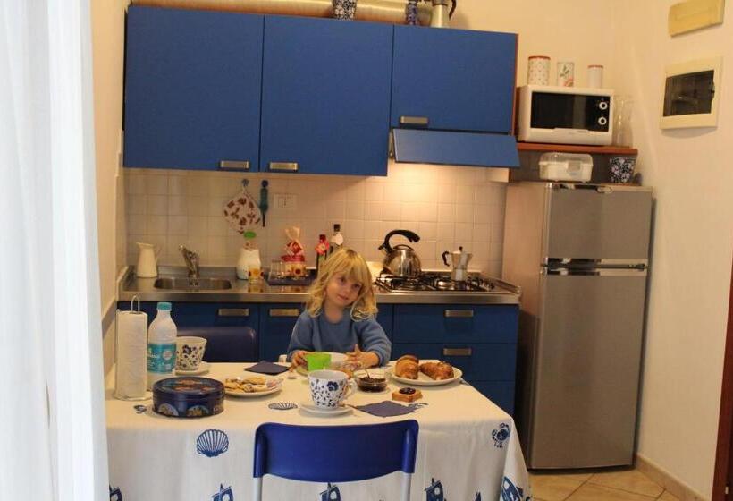 Студия Стандарт, Residence Veliero