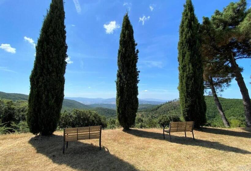 Standard Tent, Il Doccino