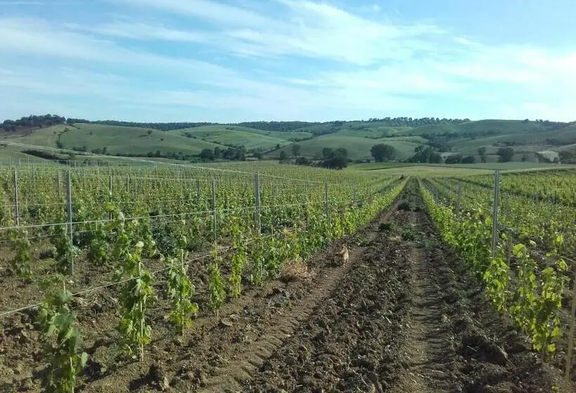 スタンダードルーム, Agriturismo Da Remo