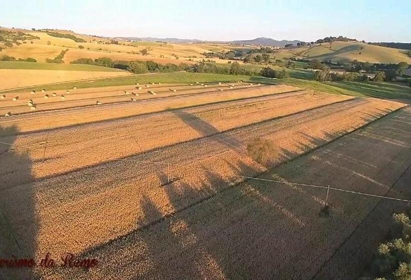 חדר סטנדרט, Agriturismo Da Remo