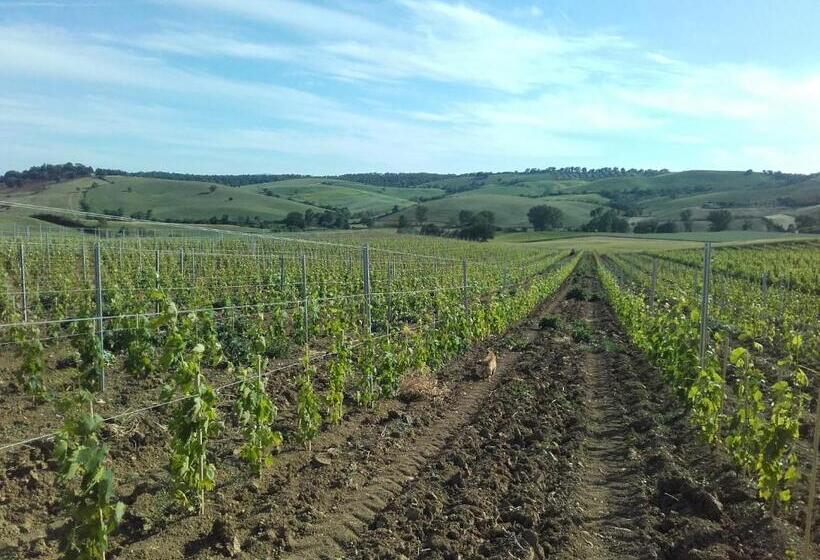 חדר סטודיו סטנדרד, Agriturismo Da Remo