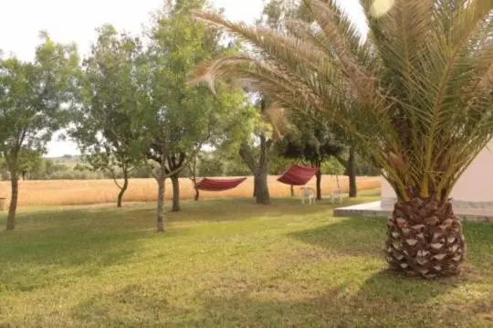 スタンダードスタジオ, Agriturismo Da Remo
