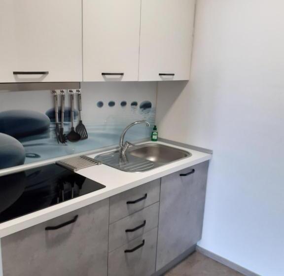 Standard studio with lake view, Residence Le Palme Appartamenti