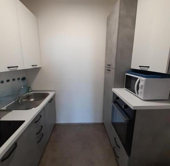 Standard studio with lake view, Residence Le Palme Appartamenti