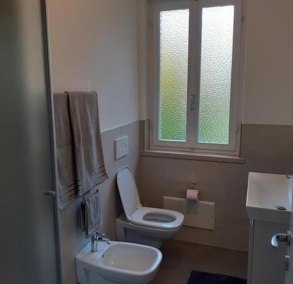 Standard studio with lake view, Residence Le Palme Appartamenti