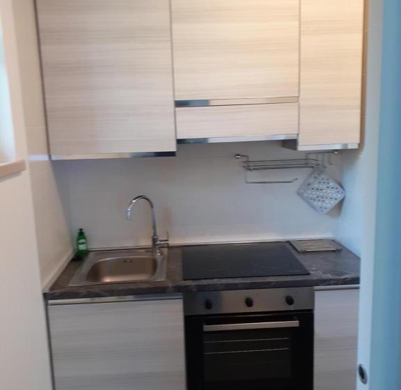 Standard studio with lake view, Residence Le Palme Appartamenti