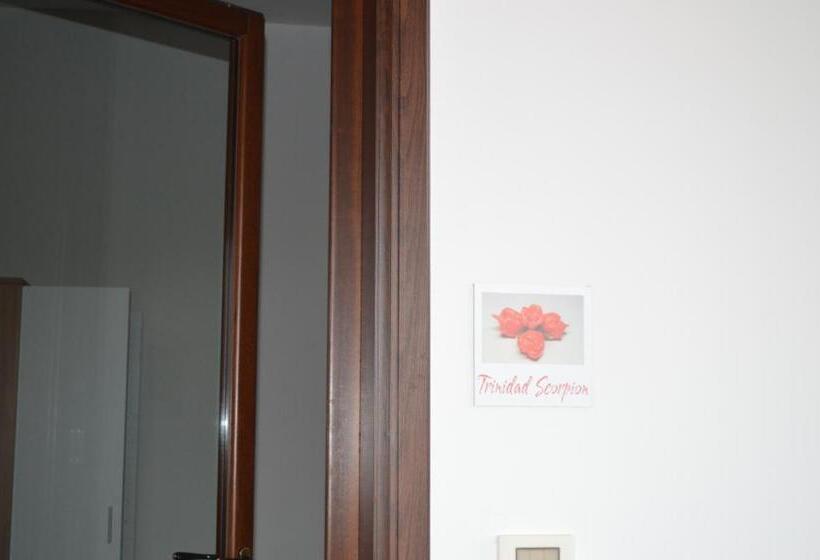 스탠다드 룸, Agriturismo Casa Del Peperoncino