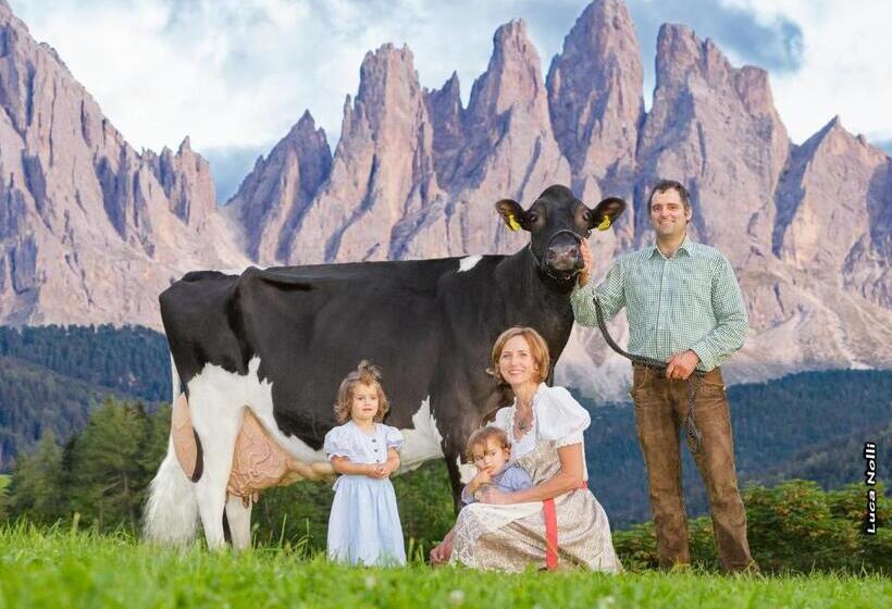 带1个卧室的公寓, Agriturismo Kabishof