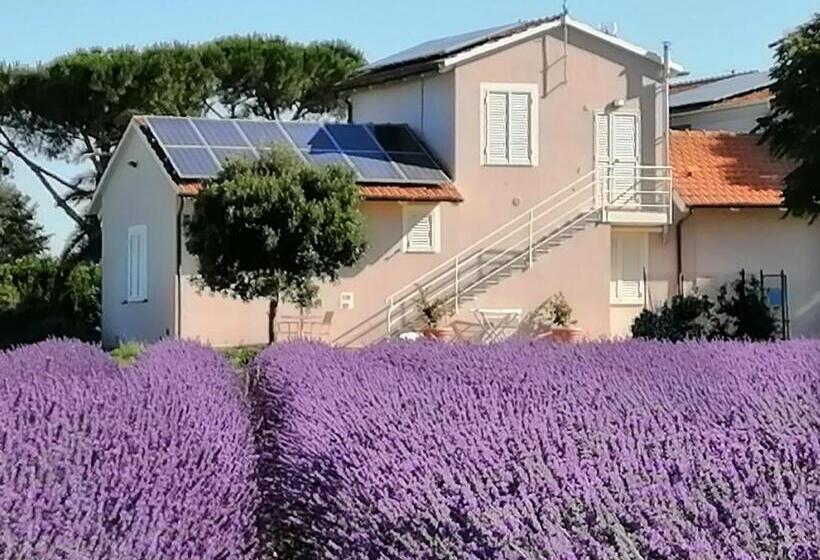 דירת שני חדרים, Agriturismo Susanna E Atria