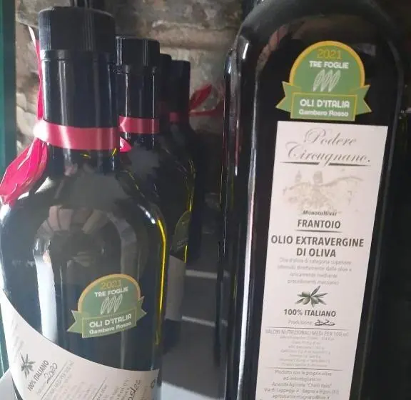 ２ベッドルームアパートメント, Agriturismo Circugnano