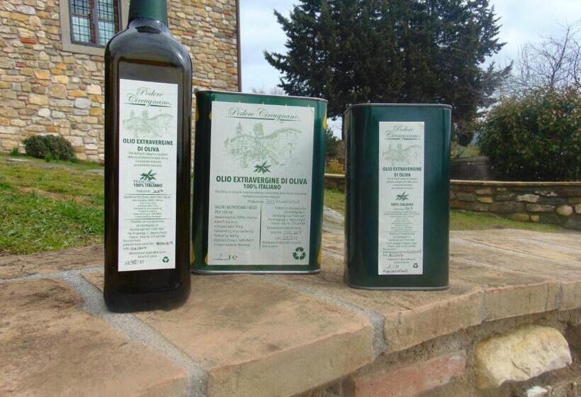 Апартаменты 1 Спальня, Agriturismo Circugnano