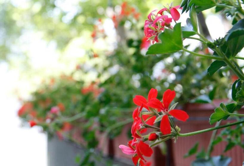آپارتمان 1 خوابه, Casa Chamonin