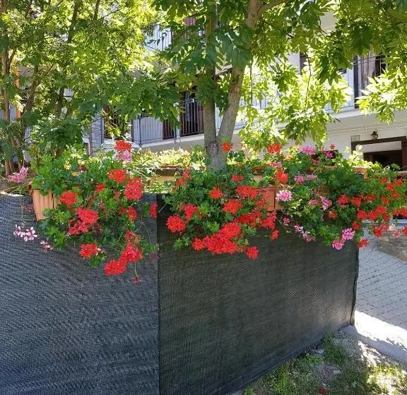 Estudi Estàndard amb Balconada, Casa Chamonin