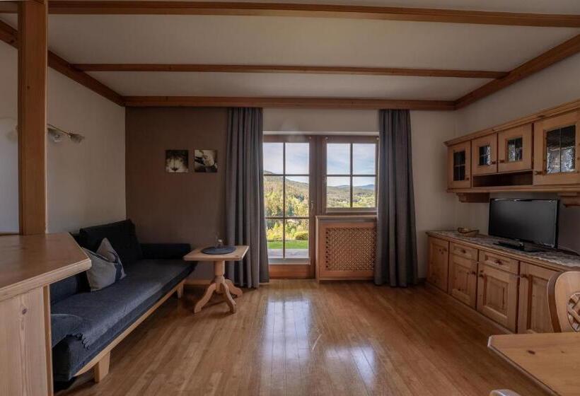 1ベッドルームのデラックスアパートメント, Residence Burghof