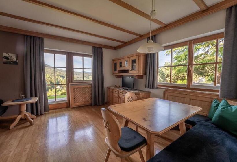 1ベッドルームのデラックスアパートメント, Residence Burghof