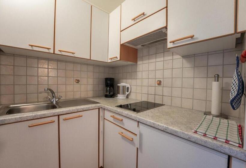 1ベッドルームのデラックスアパートメント, Residence Burghof