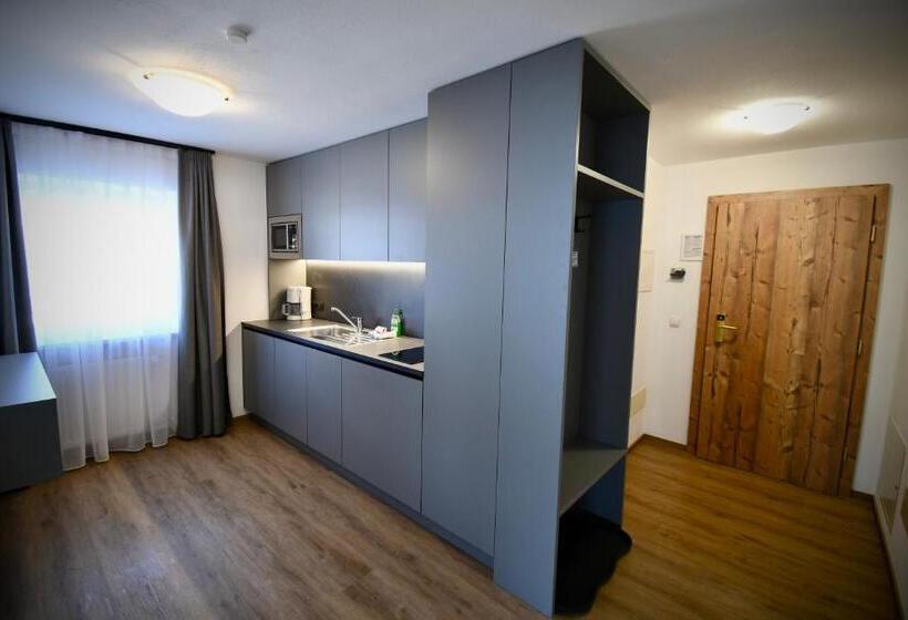 Апартаменты 1 Спальня, Residence Dilitz