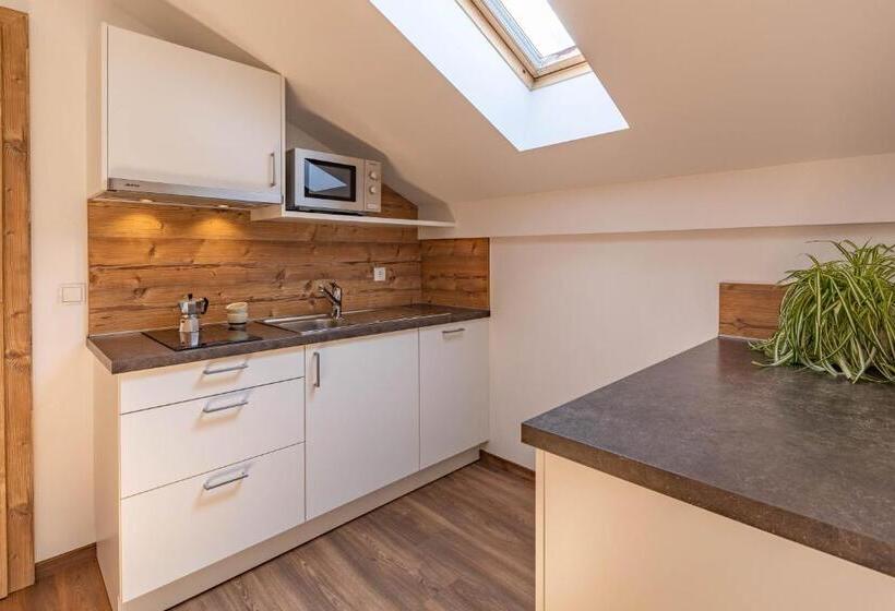 Студио Стандарт с Балконом, Residence Dilitz