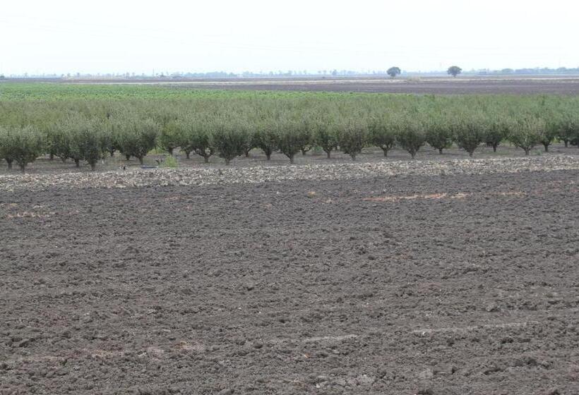 חדר סטנדרט, Agriturismo Silos Agri