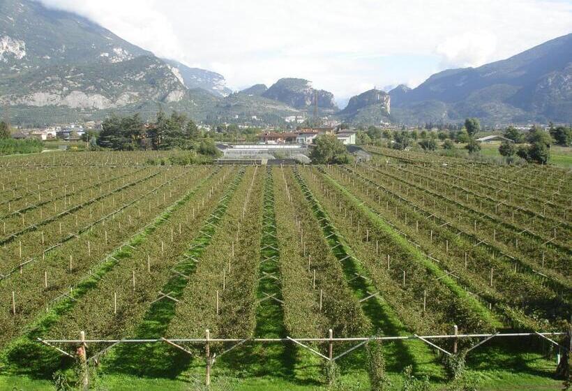 استوديو أساسي, Le Servite Apartments