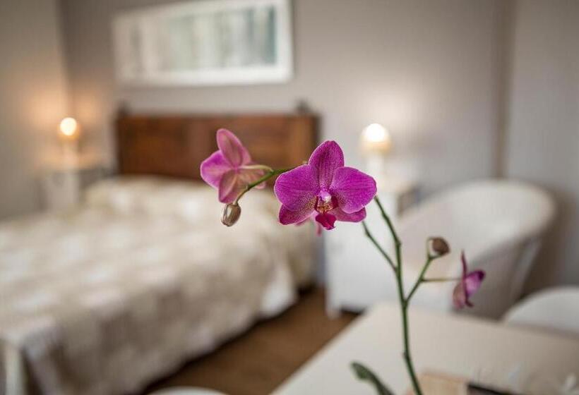 شقة سوبريور غرفة واحدة, Le Servite Apartments