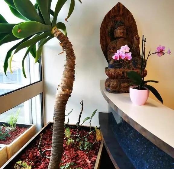 スタンダードルーム, Paris Par Trains, Area, Studios Avec Salle De Bain Et Kitchenette Privées, Ou, Chambres Avec Salles