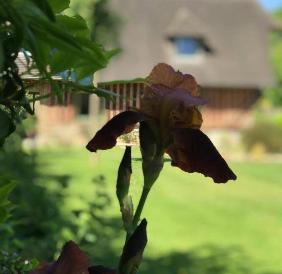 Номер Стандарт, Le Petit Pressoir