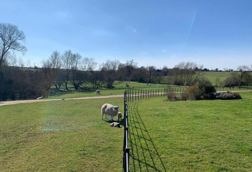 غرفة قياسية, Weatherhead Farm