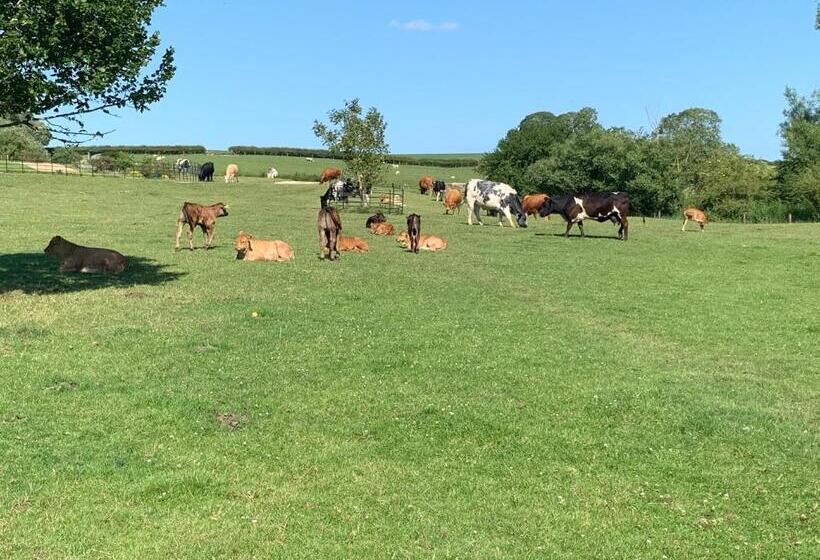 شقة ديلوكس غرفة واحدة, Weatherhead Farm