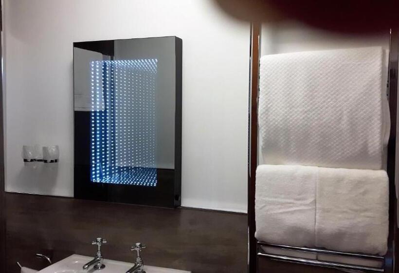 豪华单人间, St Michaels Guest House