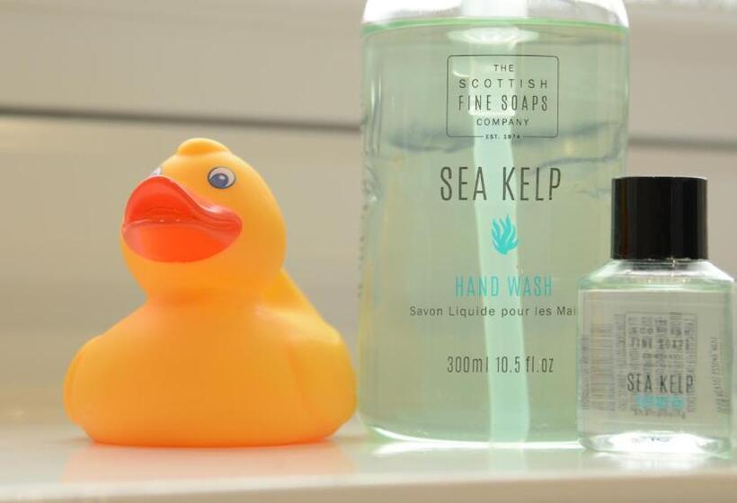 غرفة ديلوكس مطلة على الجبل, Lochview House