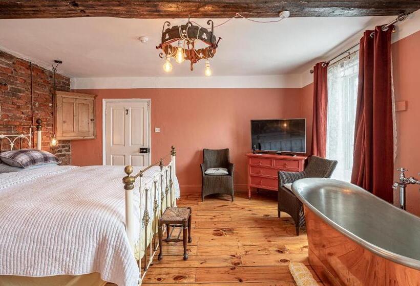 חדר סופריור, Moonfleet Boutique