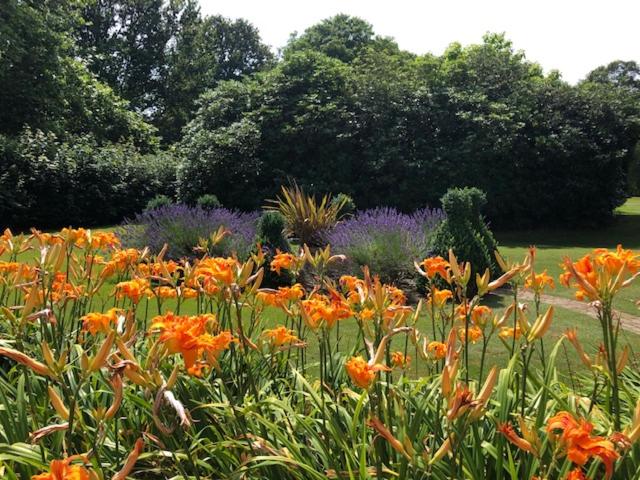 غرفة سوبيريور سرير كينج, Wartling Place Country House