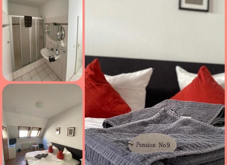 Номер Стандарт, Pension No.9