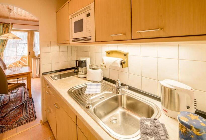 Апартаменты 1 Спальня с Балконом, Ferienhotel Sonnenheim