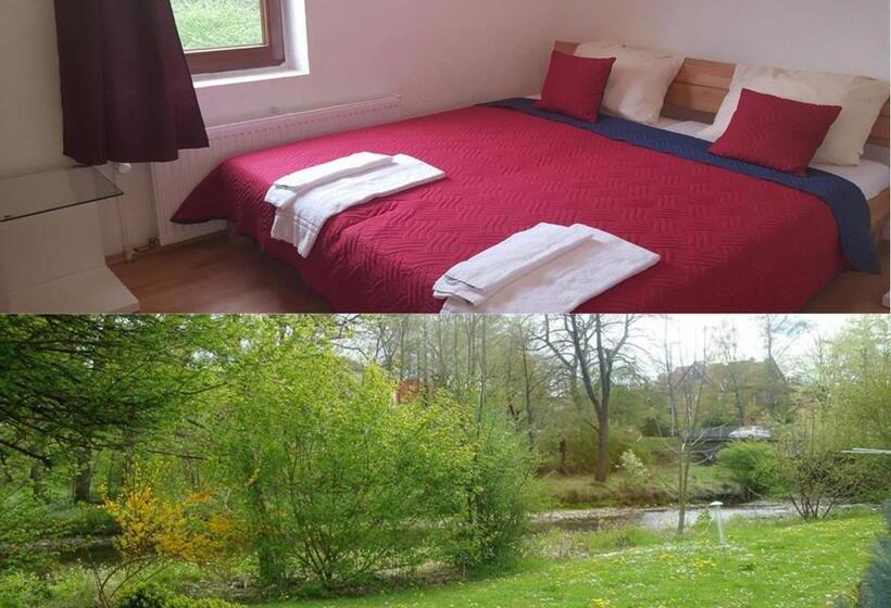 Quarto standard, Dionysos Traube