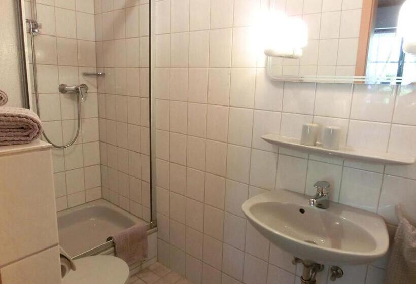 스탠다드 발코니 룸, Kempfenhof