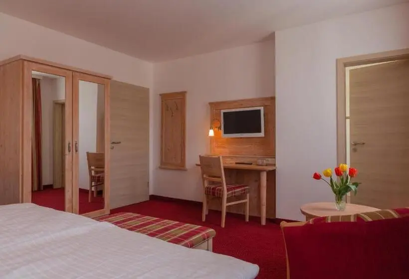 Standard-huone, Pension Am Finkenberg