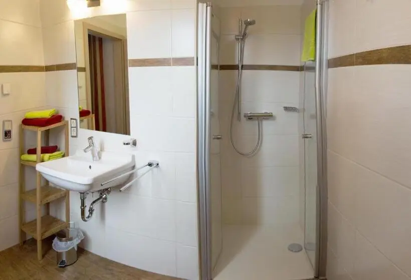 Standard-huone, Pension Am Finkenberg