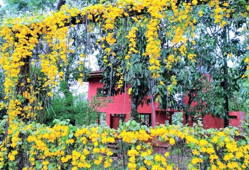 ルームシェアのワンベッド, Nativa Iguazu
