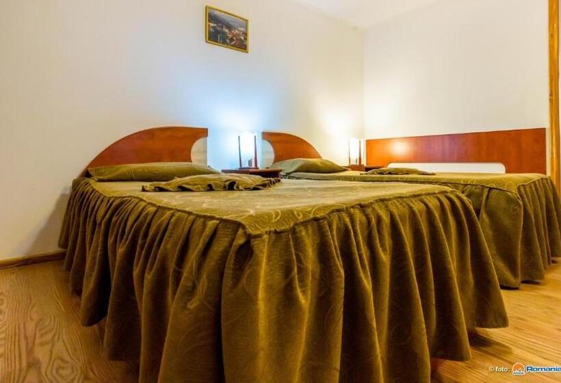 Номер Стандарт Индивидуальный, Anomis