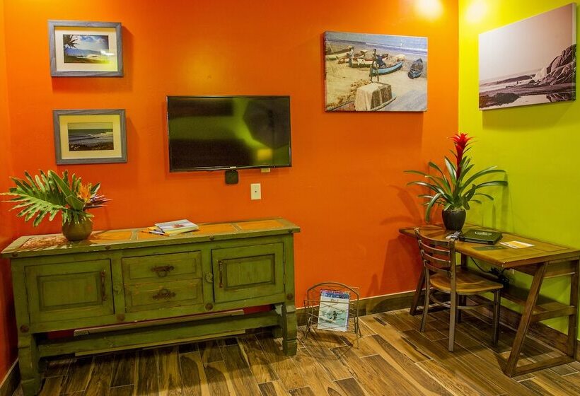 デラックスルーム, Nomads