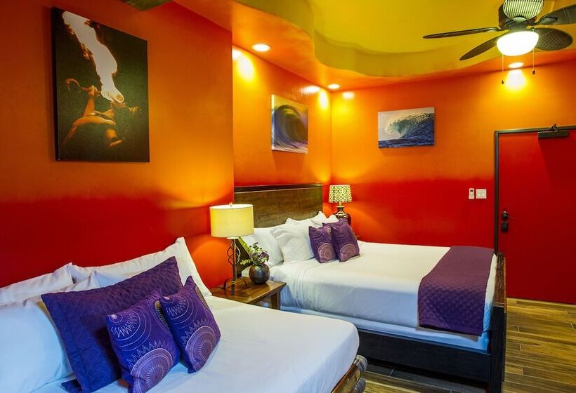 غرفة ديلوكس, Nomads