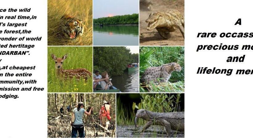 Студио Стандарт Кровать Кинг, Dden Vennell Bnb Metro Access