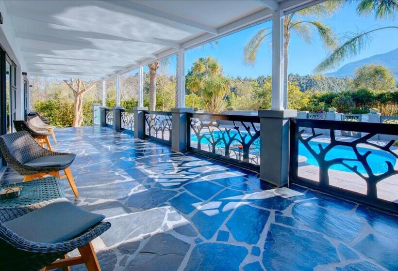 اتاق لوکس خانوادگی, Amour Guest House