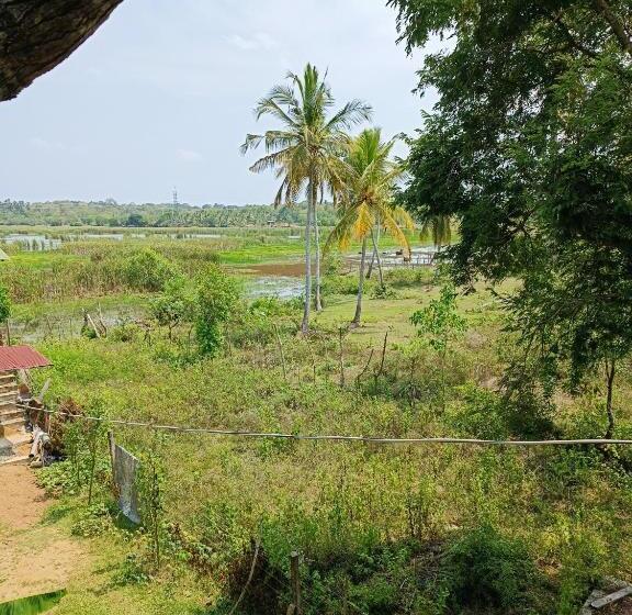 Standardzimmer mit Balkon, Three Little Birds