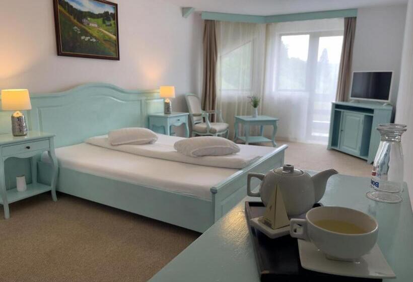 غرفة قياسية مزوَّدة بشُرفة, Pensiunea Poiana Izvoarelor