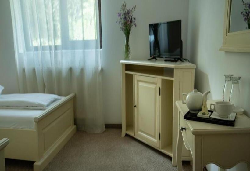 غرفة قياسية, Pensiunea Poiana Izvoarelor