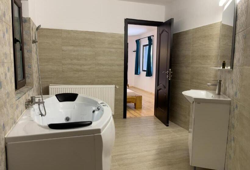 غرفة قياسية, Pensiunea Poiana Izvoarelor