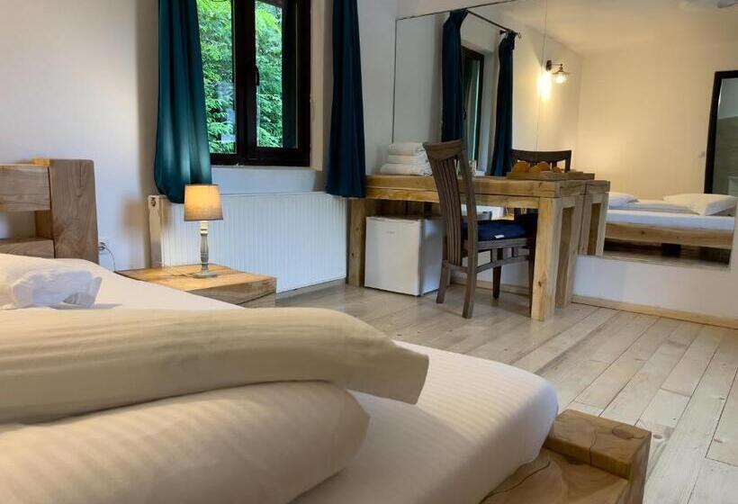 غرفة قياسية, Pensiunea Poiana Izvoarelor